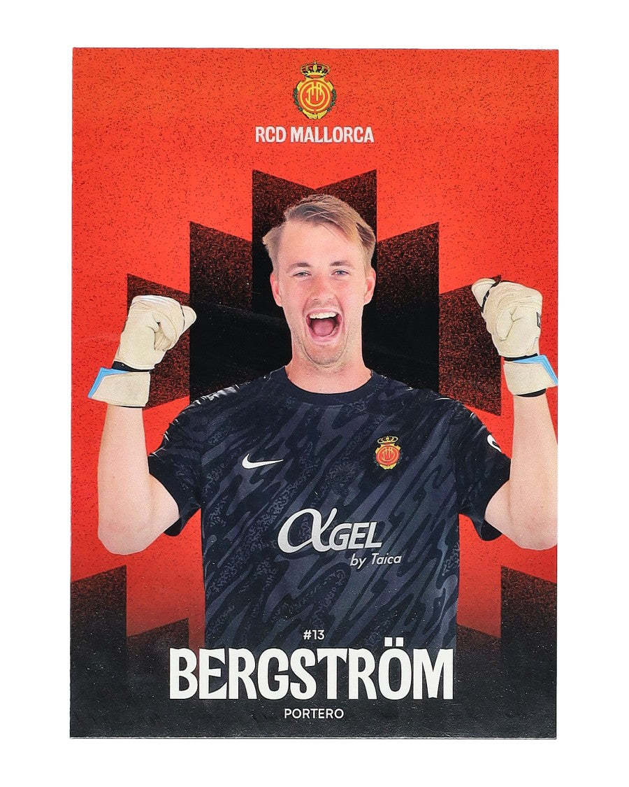 Postal Lucas Bergström