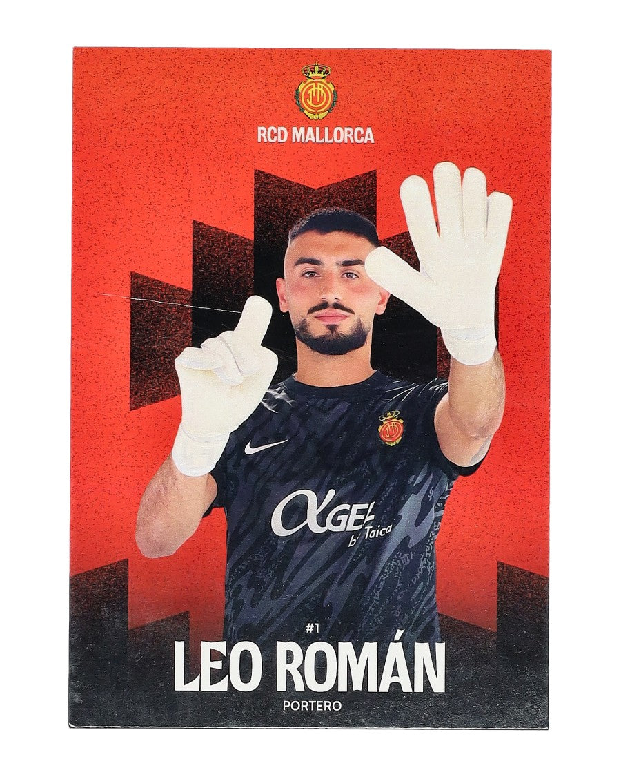 Postal Leo Román
